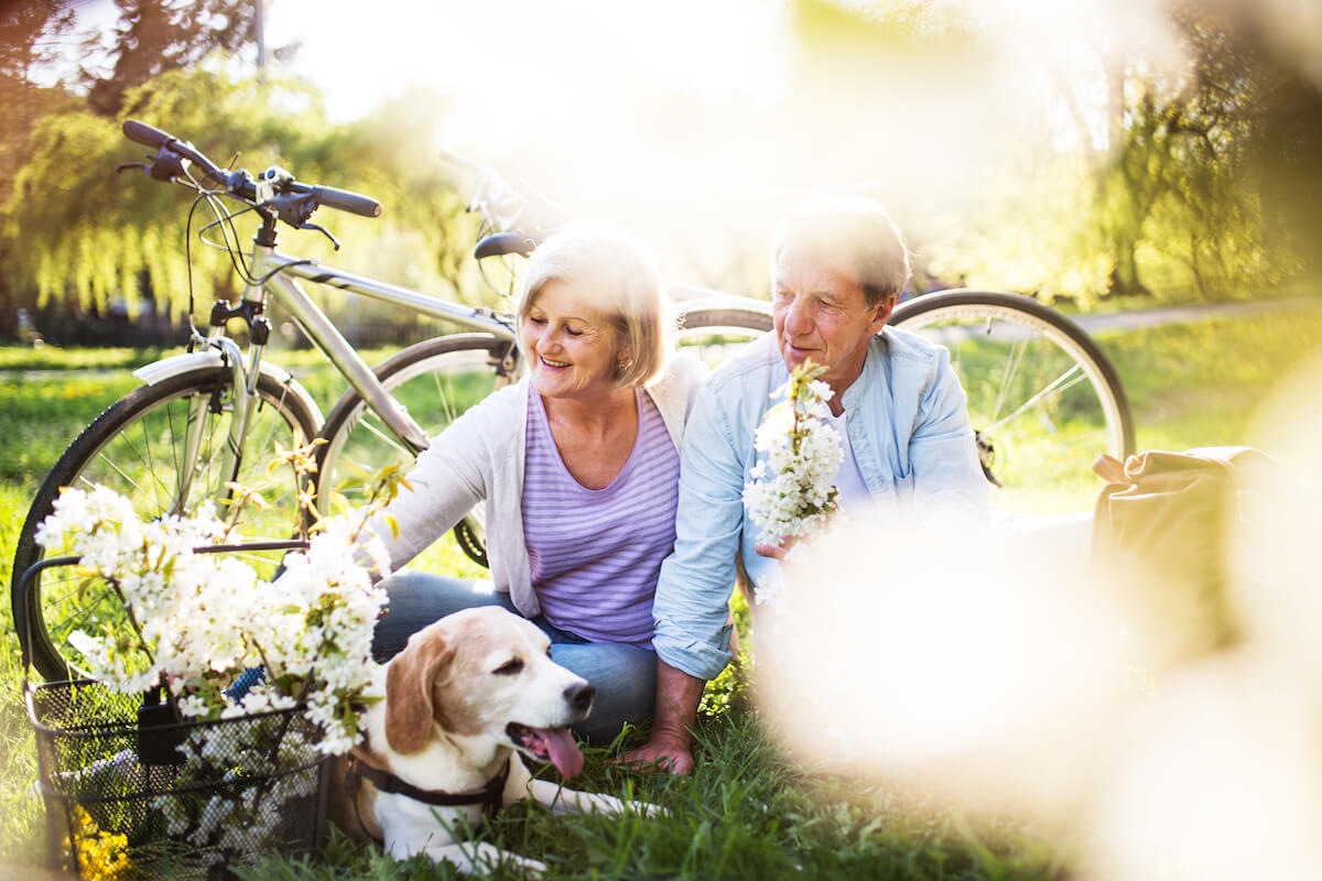Beautiful senior couple with dog and bicycles outside in spring nature.